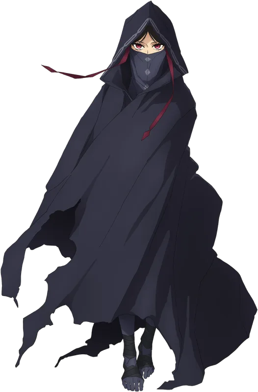 Assassin in the Fate/strange Fake anime